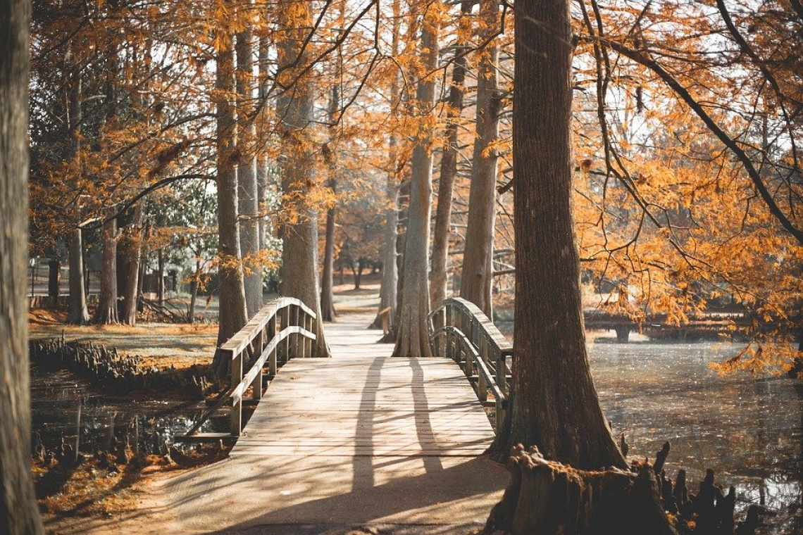Balade au Parc Charruyer