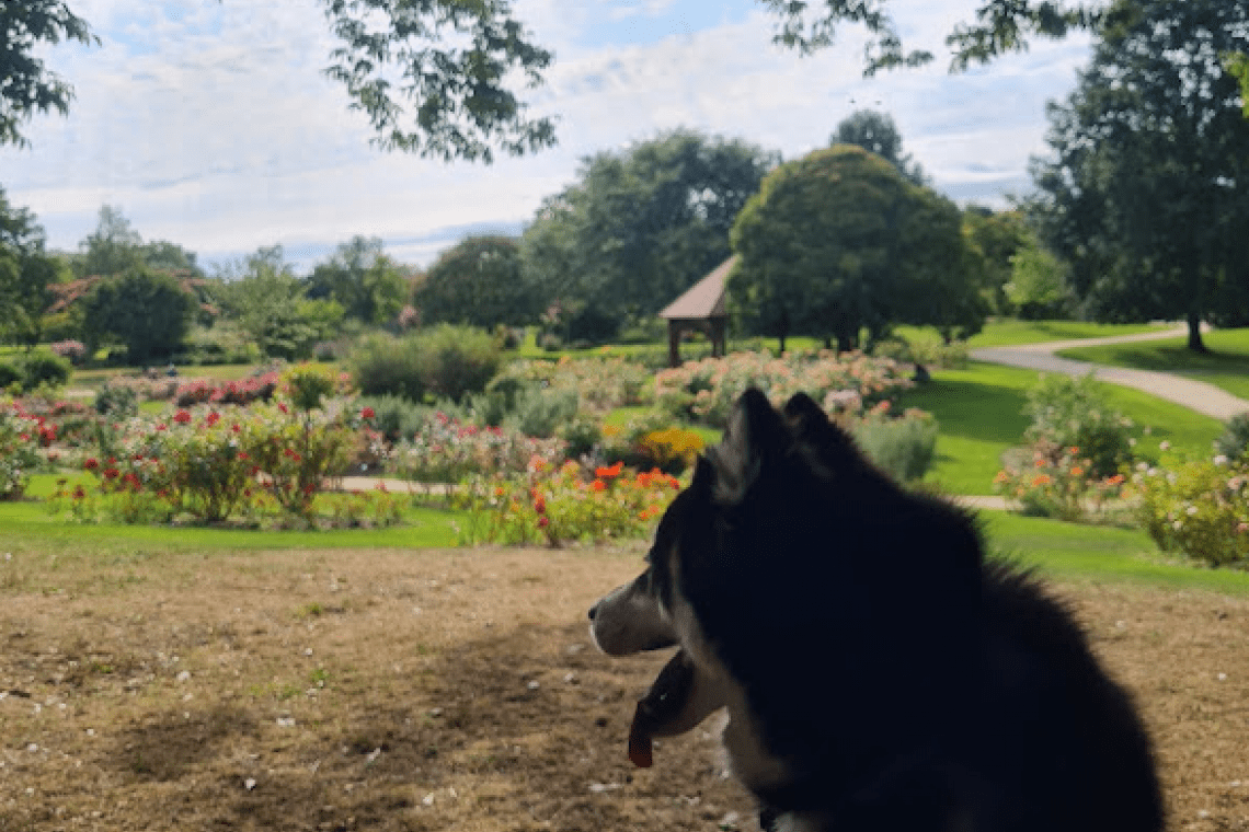 Parc de la Roseraie