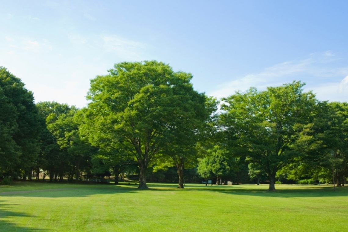 Parc de rouelles