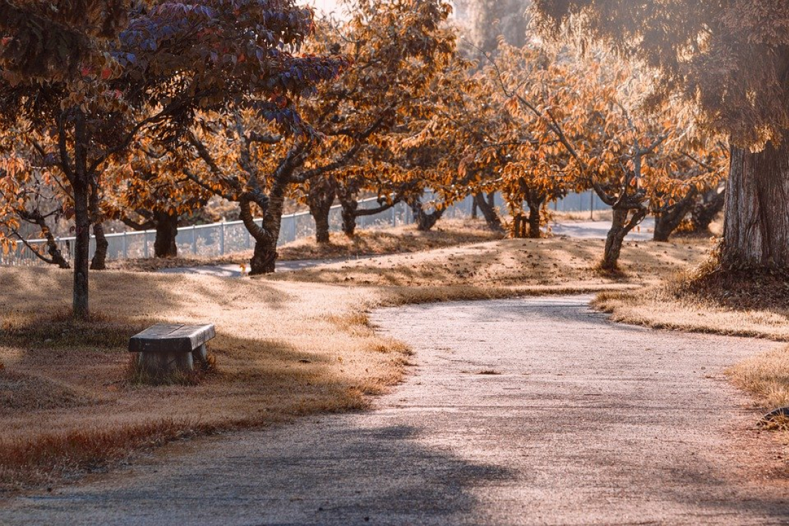 Parc La Hotoie