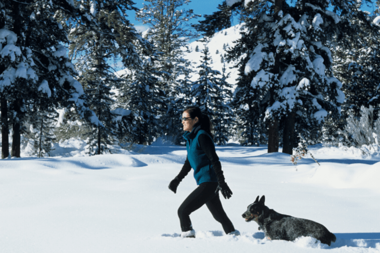 Les Horizons d’Huez – Pierre et Vacances – photo 1