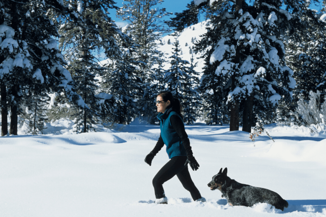 Les Horizons d’Huez – Pierre et Vacances