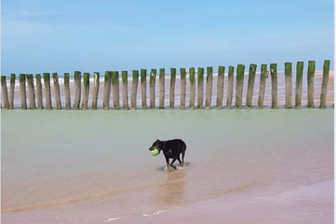 Plage de Sangatte – Côte d’Opale