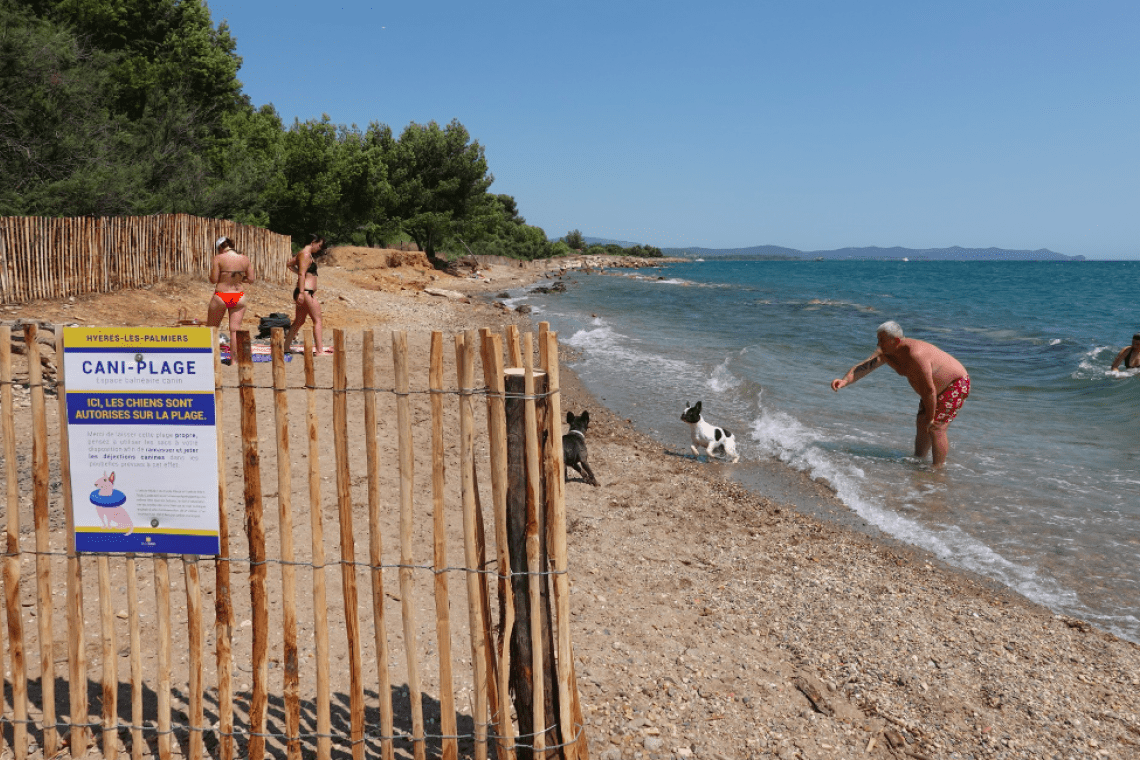 Cani-plage du Mérou – Hyères