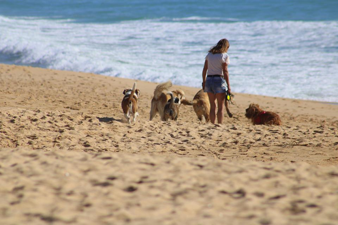 Plage de Bréhal