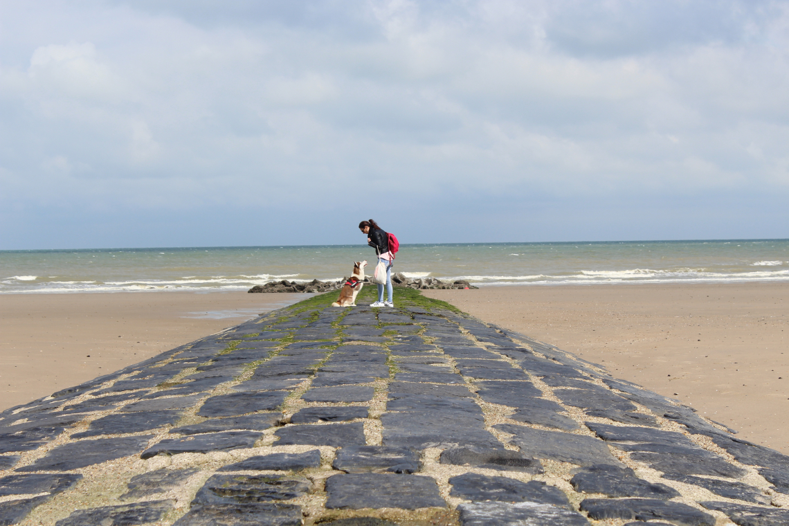 Plage de la Cale Louis Robert – Pirou
