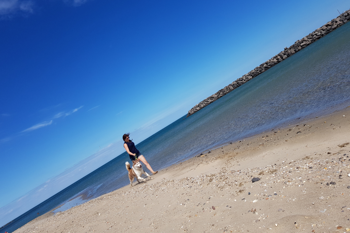 Plage de la Cale sud