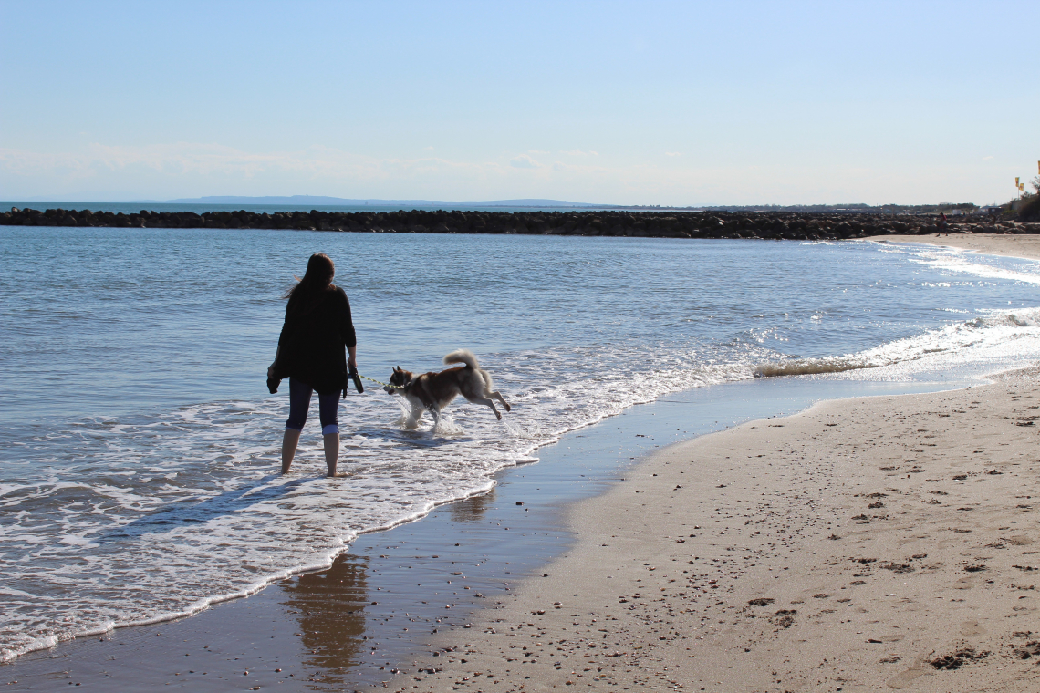 Plage des Douanes