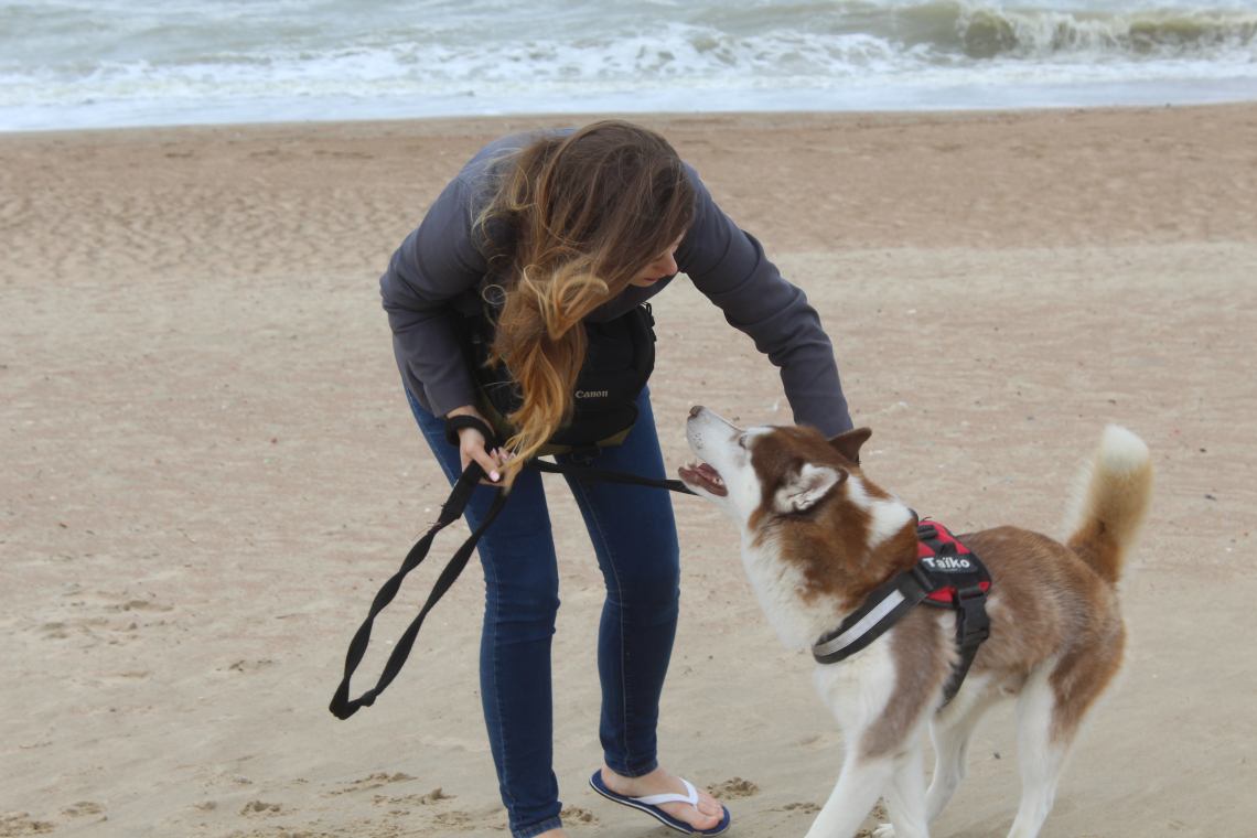 Plage de Luc-sur-Mer