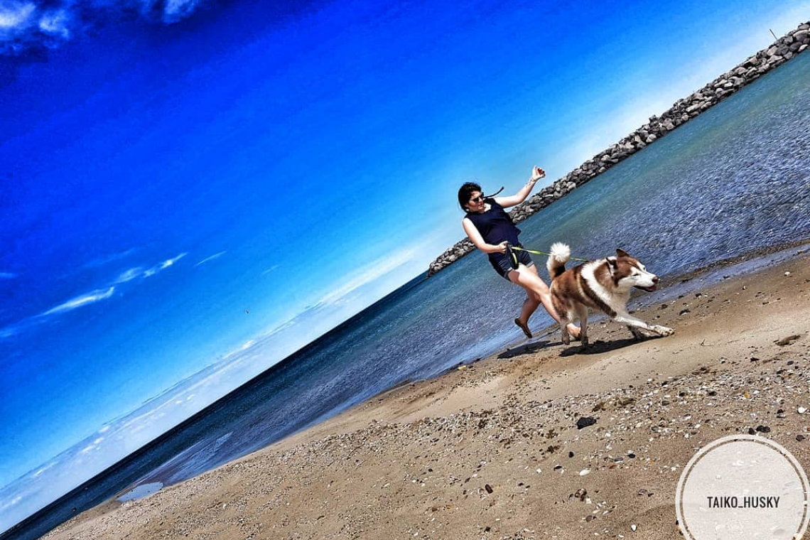 Plage de Monteau