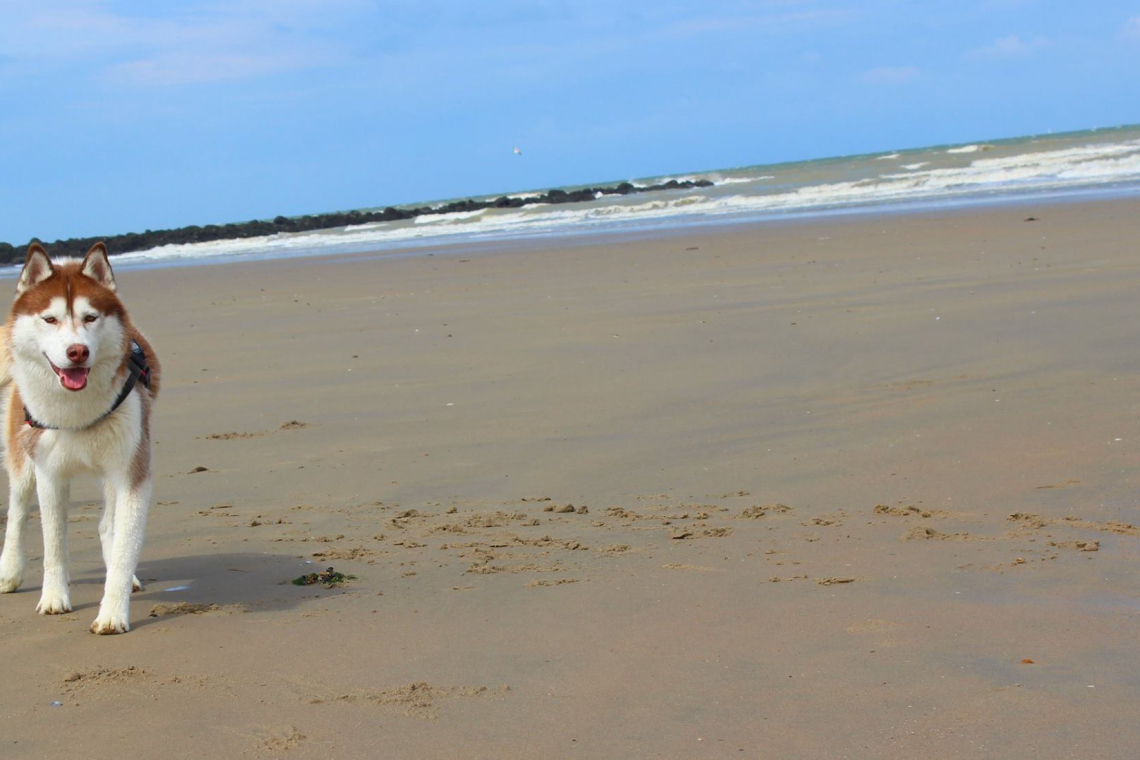 Plage des Minimes