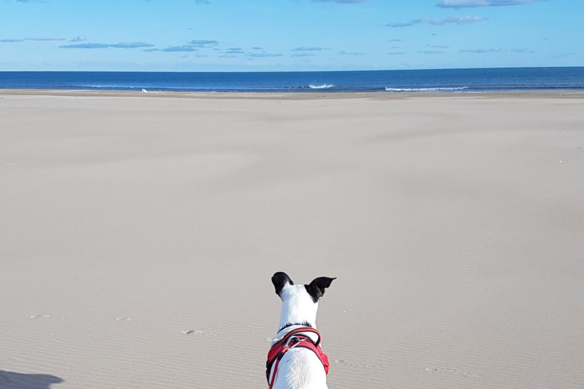 Plage du Créneau Naturel