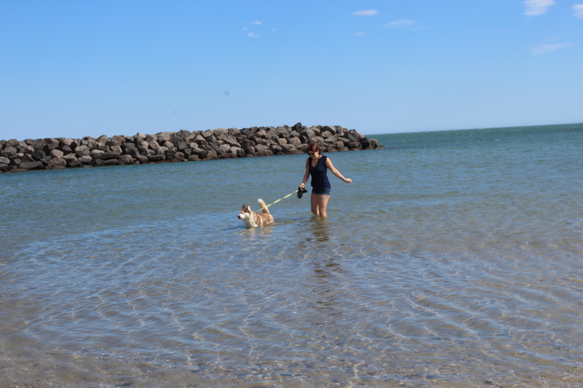 Plage du Passous
