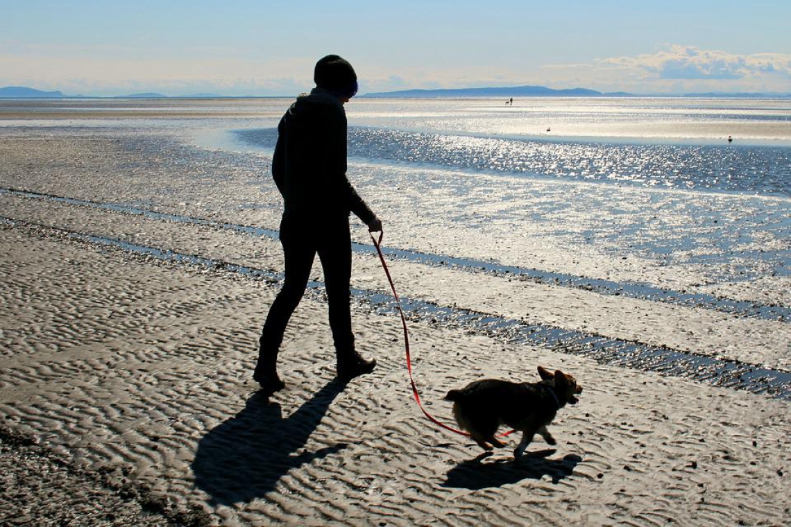 Plage du Sémaphore
