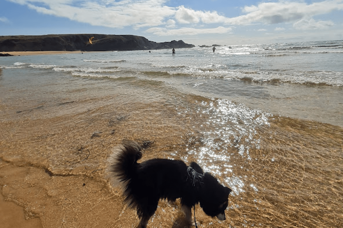 Plage d’Herlin