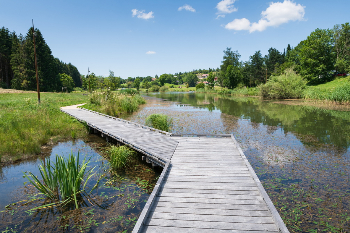 Balade au plan d’eau de Lalleyriat