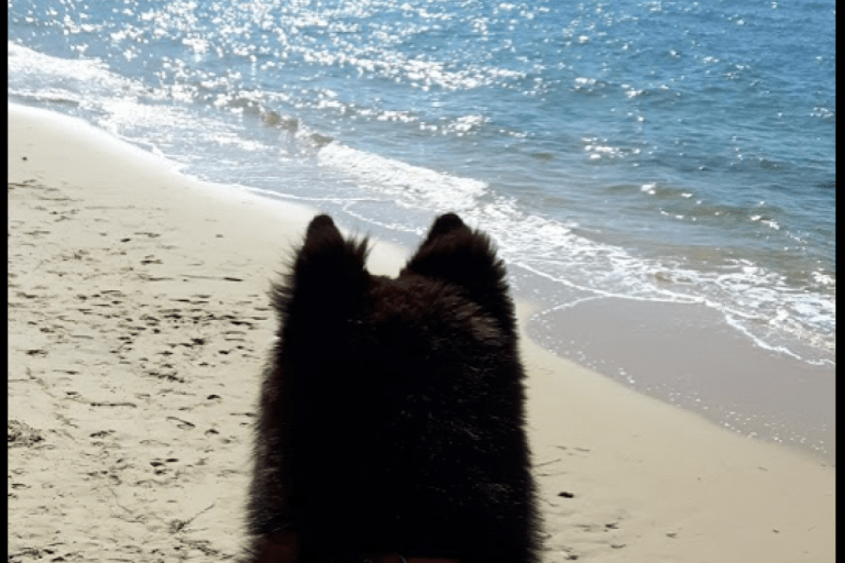 Plage du Butin – photo 1