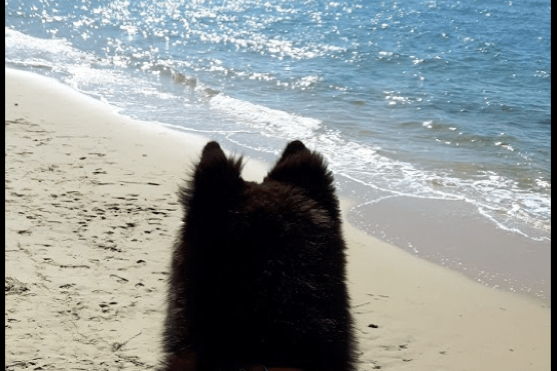 Plage du Butin