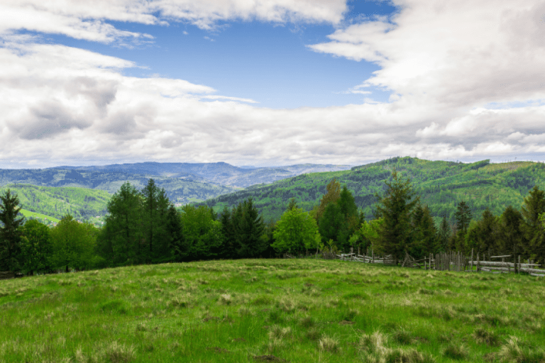 Col de faucille – photo 1