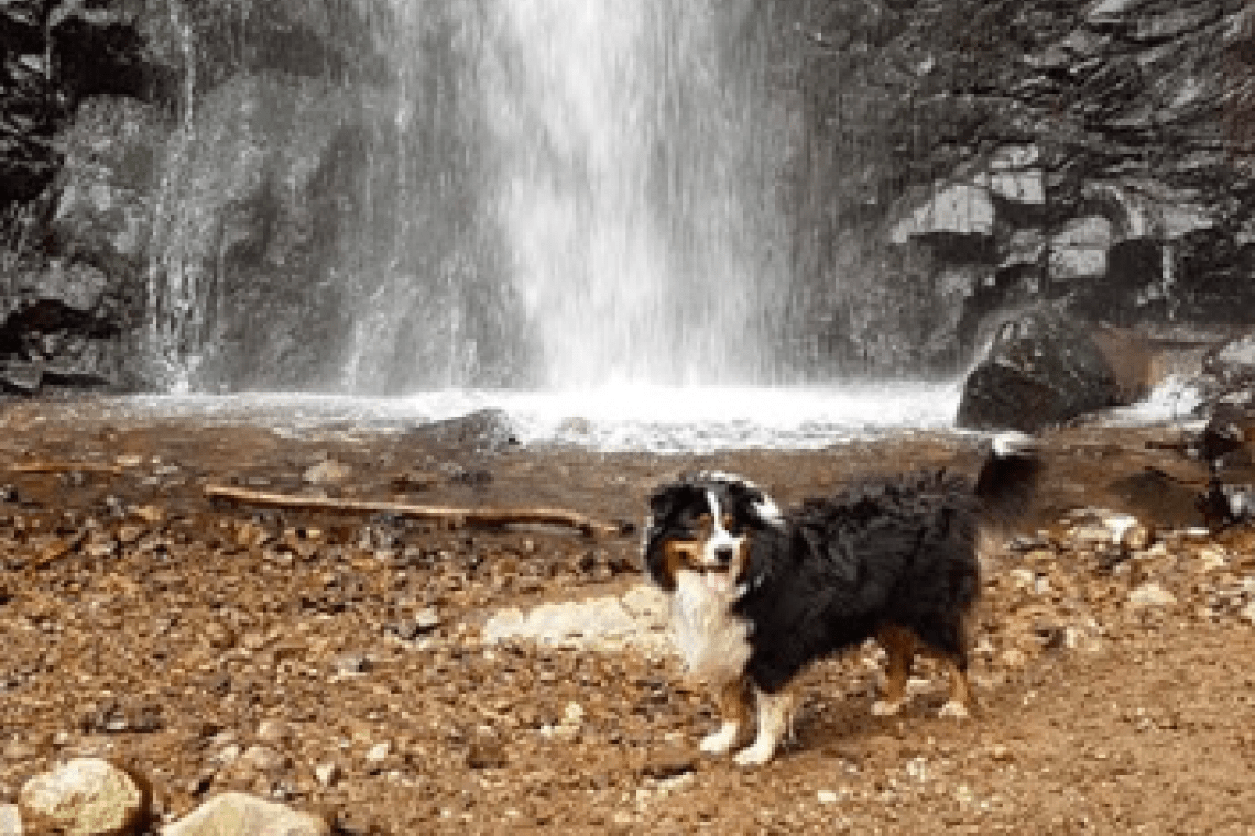 Sentier des cascades – Mont dore