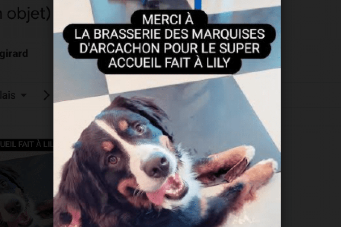 La Brasserie des Marquises