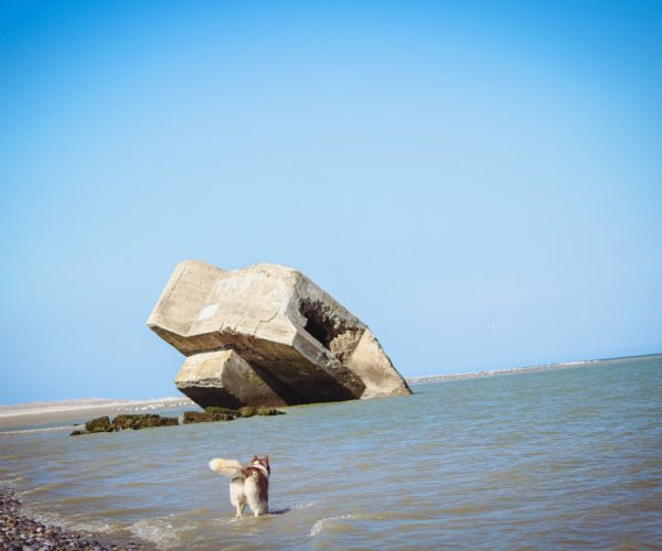 La Pointe du Hourdel