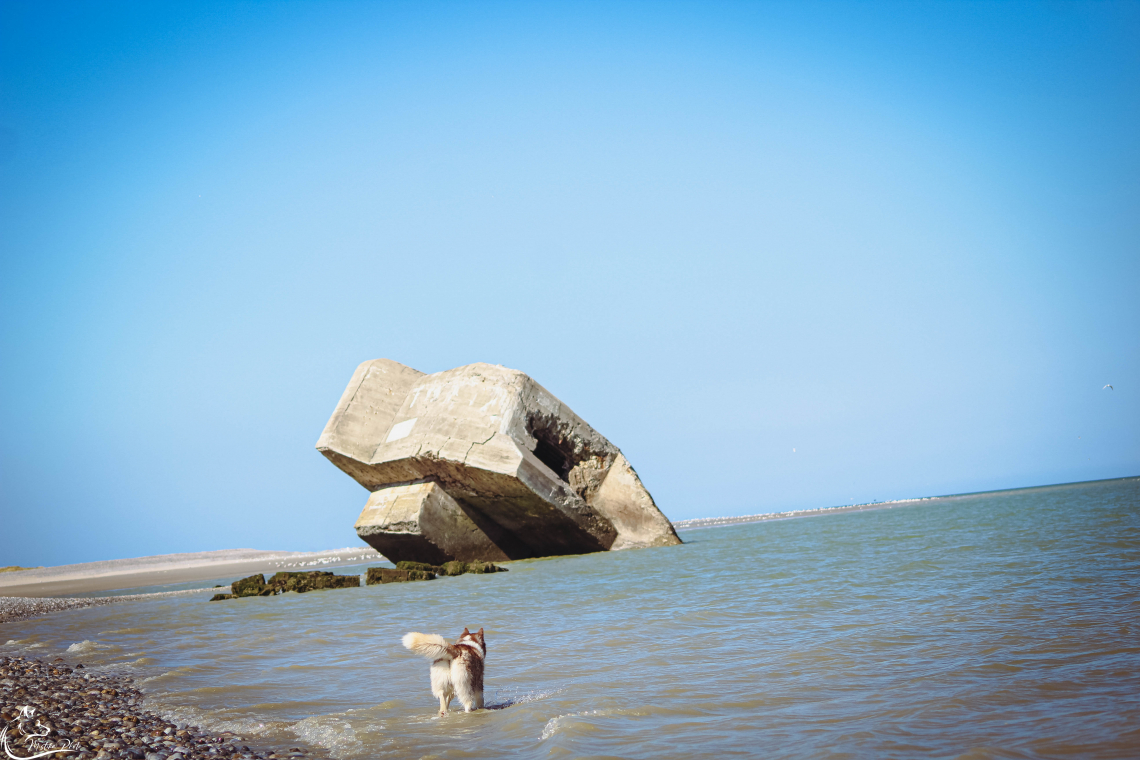 La Pointe du Hourdel
