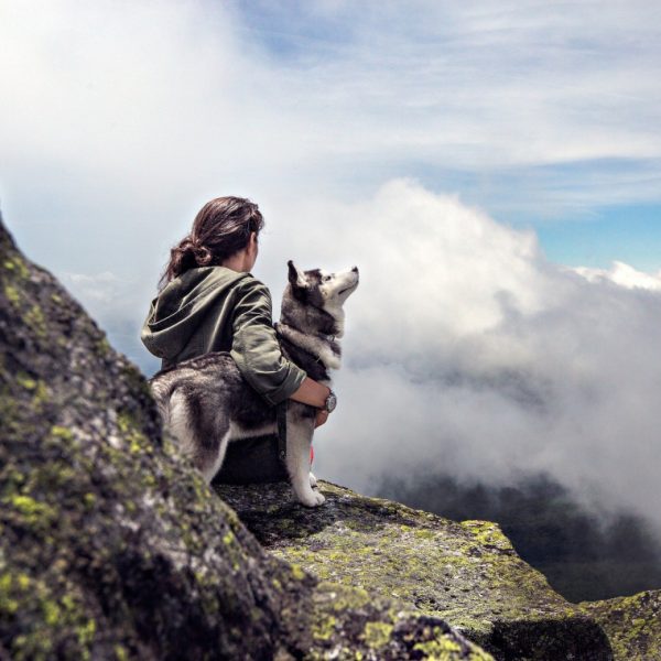 balade et randonnée avec son chien au rocher de Metzig en Alsace dans le Grand-Est