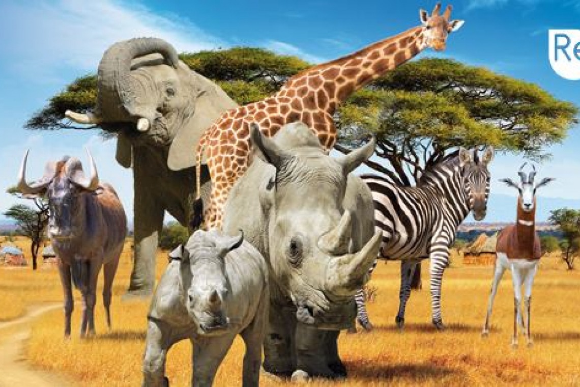 Safari de Peaugres