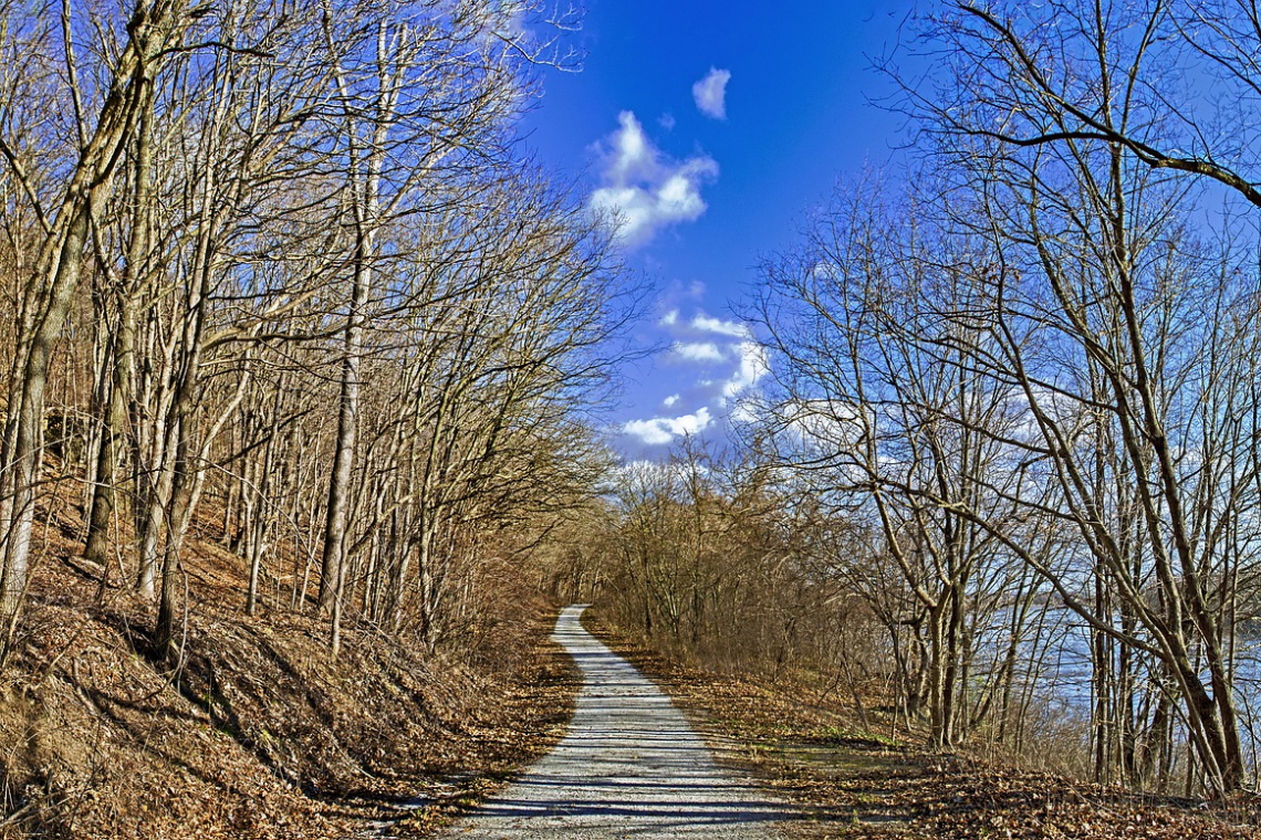 Sentier de découverte de la Sarre