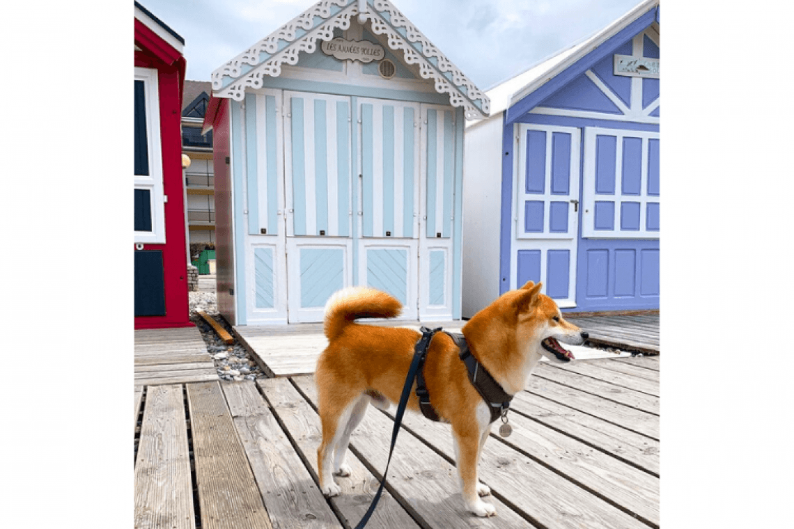 Grande plage de Cayeux – Cayeux sur mer