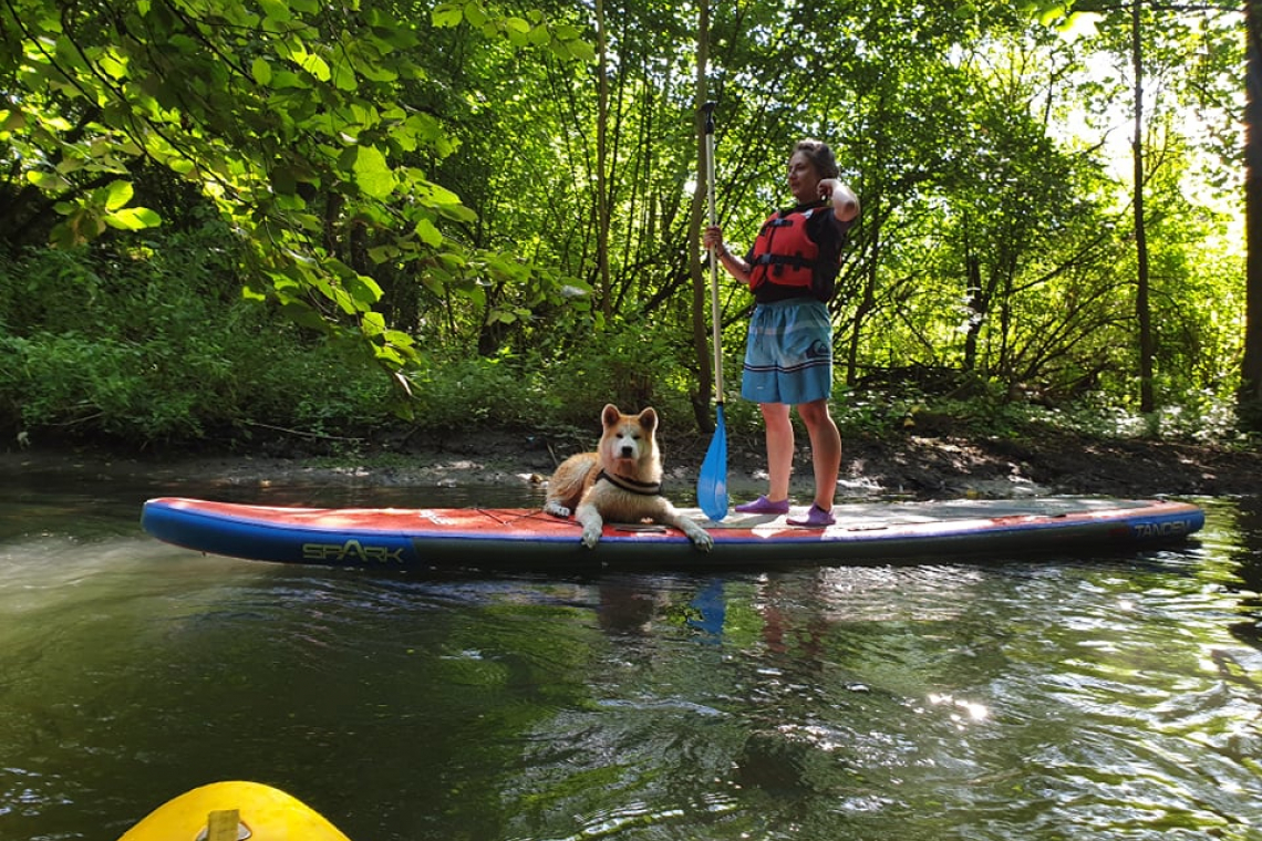 Cani-paddle au Canoë-kayak club de Ham