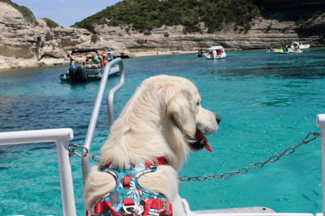 SPMB Promenades en Mer