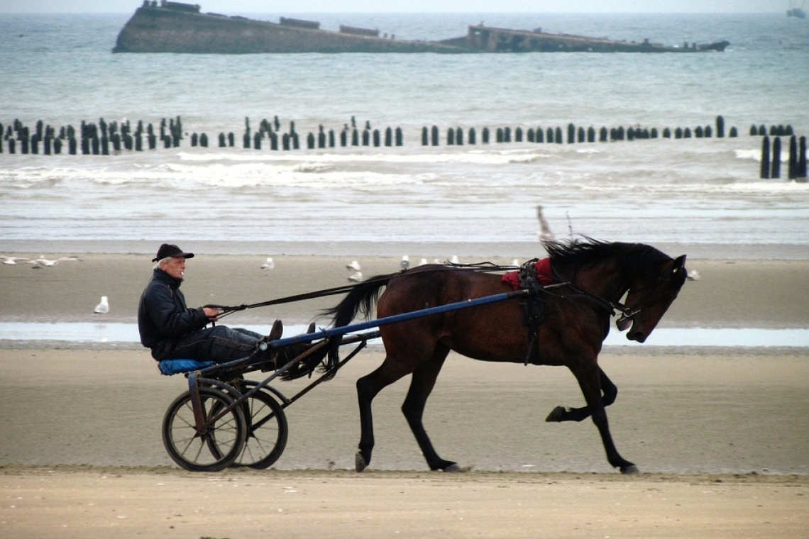 Plage de Utah Beach