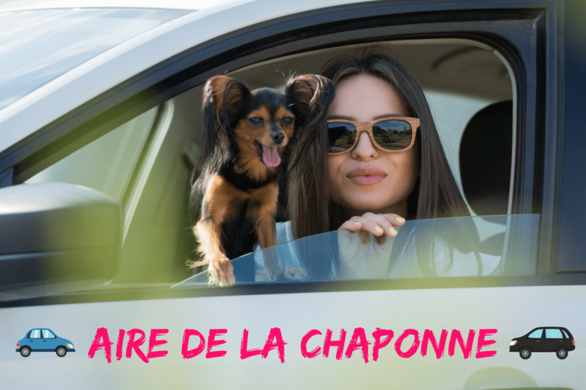 Aire de la Chaponne – Autoroute A6