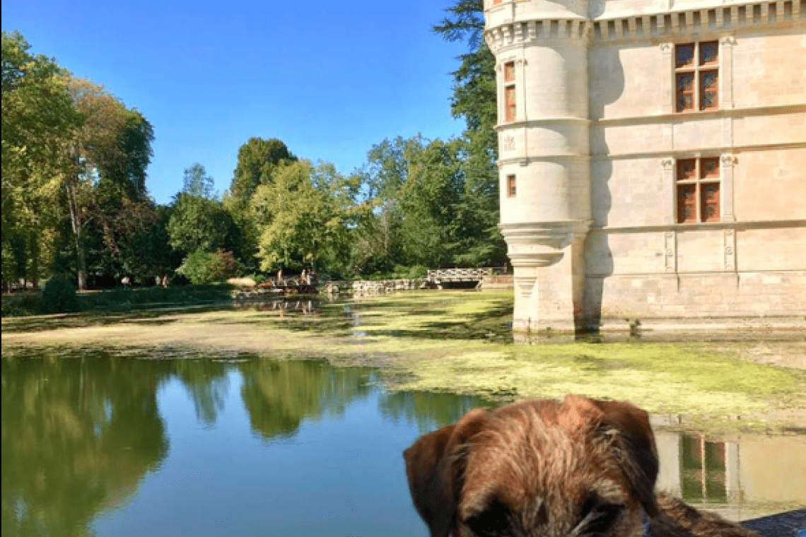 Visite du Château d’Amboise