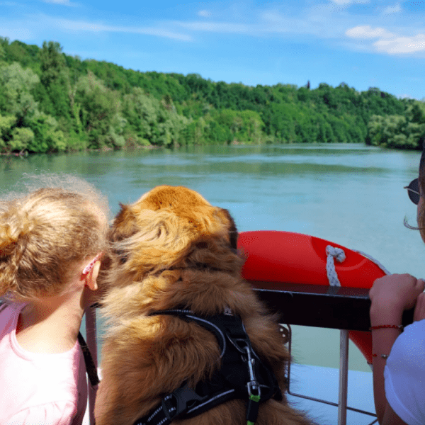 visite_a_bord_du_bateau_a_roue_-_visite_a_faire_avec_son_chien_en_isere_-_que_faire_avec_son_chien_en_isere_-_saint_nazaire_en_royan_-_vacances_chien_-_emmenetonchien.com_