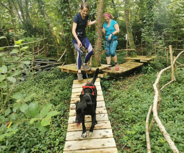 Will to go Park – Parcours aventure pour chien