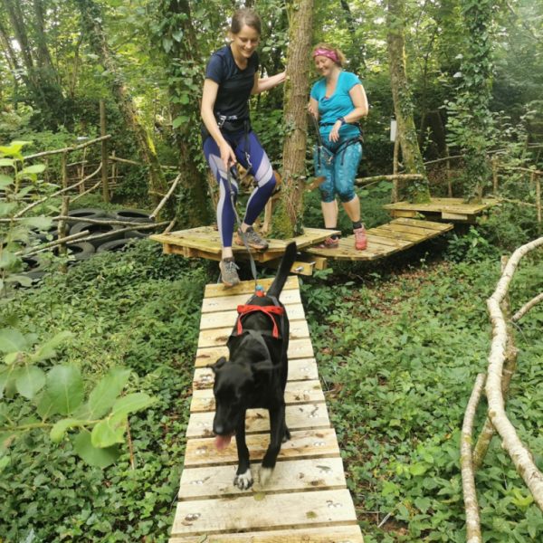 Will to go Park - Parcours aventure pour chien