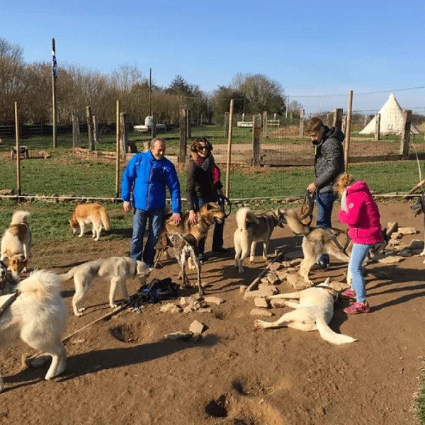 Will to go Park - Parcours aventure pour chien