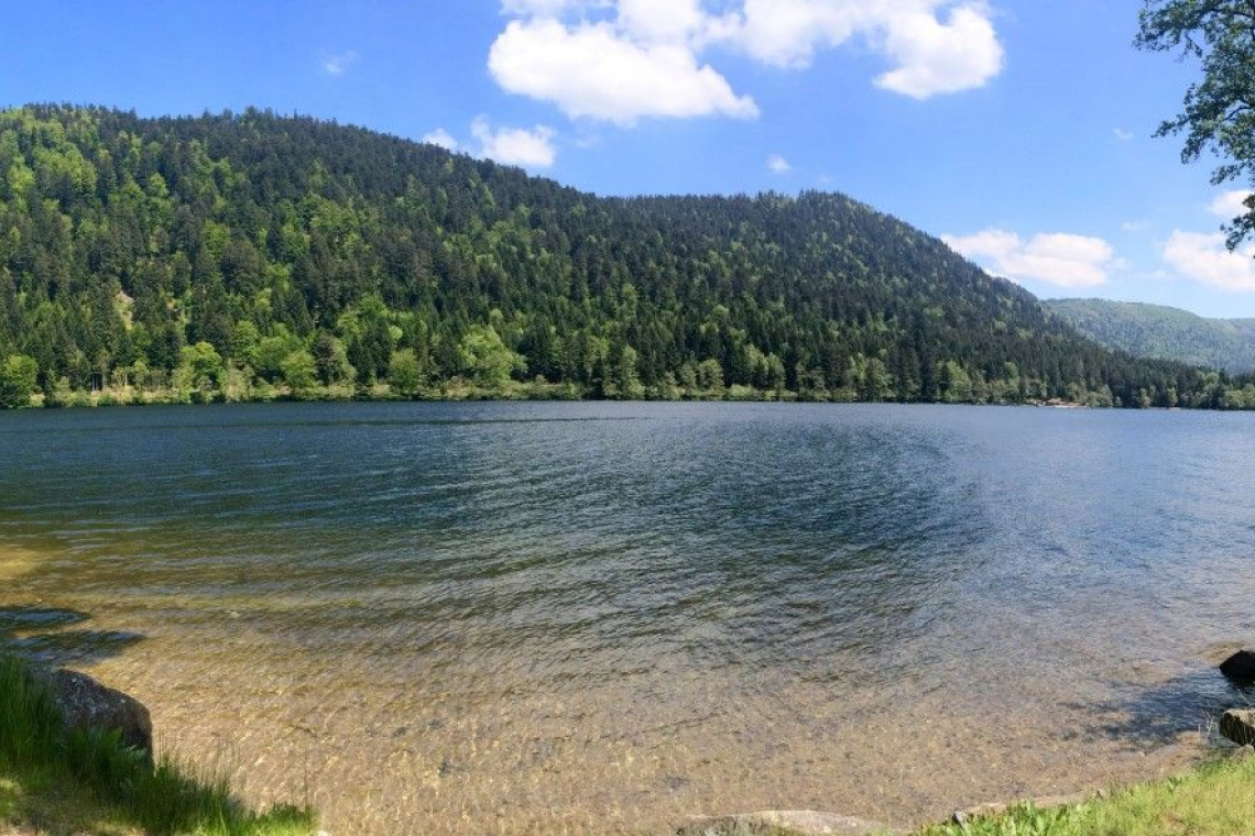 Camping les Jonquilles