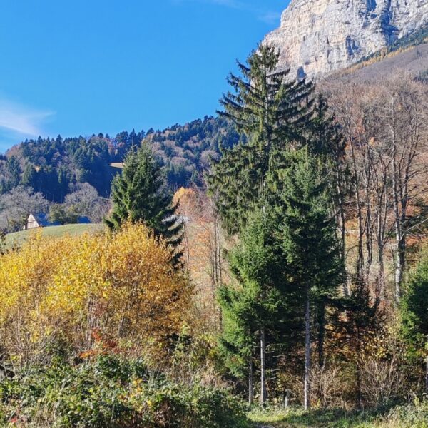 La nature autour des Gîtes de Calistane en Isère au pied du Massif de la Chartreuse et des Alpes