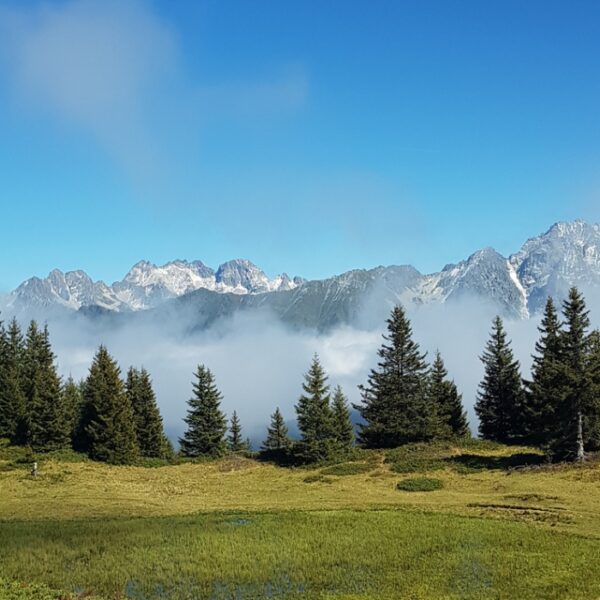 Vue sur la montagneproche des Gîtes de Calistane en Isère au pied du Massif de la Chartreuse et des Alpes