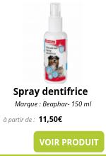 Spray dentifrice_2.png