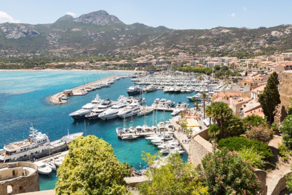 Aller à Calvi avec son chien, quoi faire à Calvi avec son chiens, plages autorisées aux chiens à Calvi, où loger avec son chien à Calvi