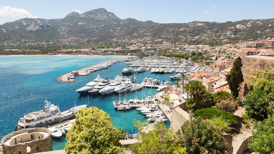 Aller à Calvi avec son chien