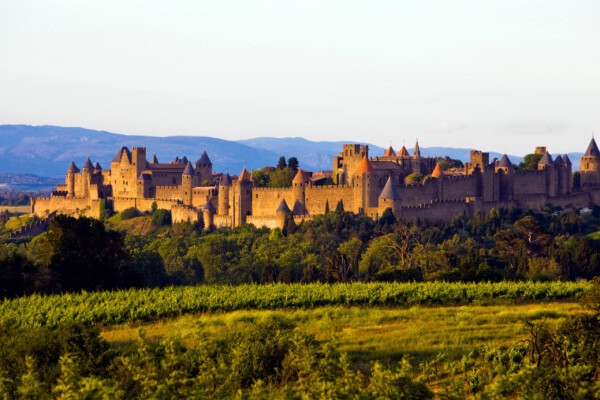 Carcassonne : découvrir la cité avec son chien