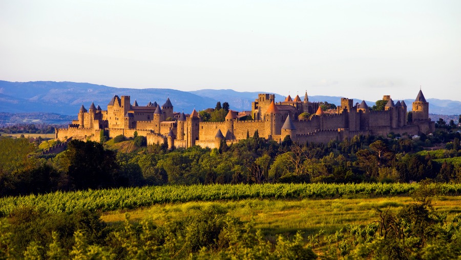 Carcassonne : découvrir la cité avec son chien