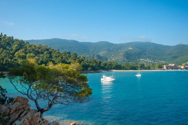 Découvrir Le Lavandou avec son chien, quoi faire au Lavandou avec son chien, où loger dans le Lavandou avec son chien