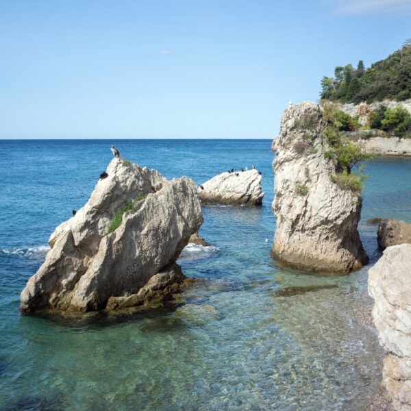 meilleures plages des bouches-du-rhône autorisées aux chiens, hébergements dog friendly dans les Bouches-du-Rhône